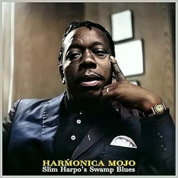 Harmonica Mojo swamp blues cover artwork