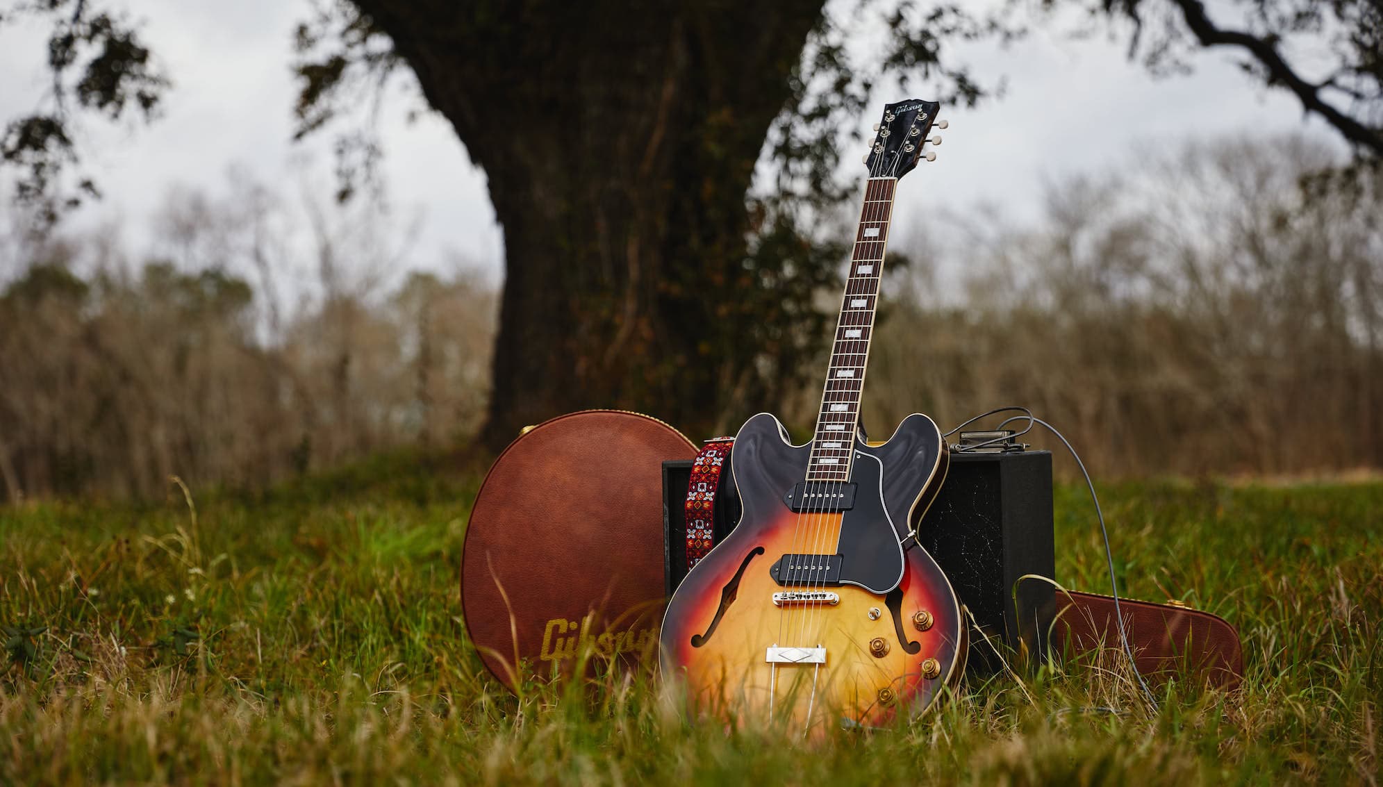 A guitar and amplifier in a Louisiana landscape